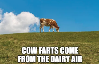 screen shot 2026 01 30 at 4.57.41 pm