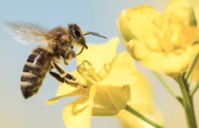 screen shot 2026 01 30 at 4.56.37 pm