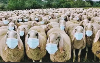 screen shot 2026 01 30 at 5.02.46 pm